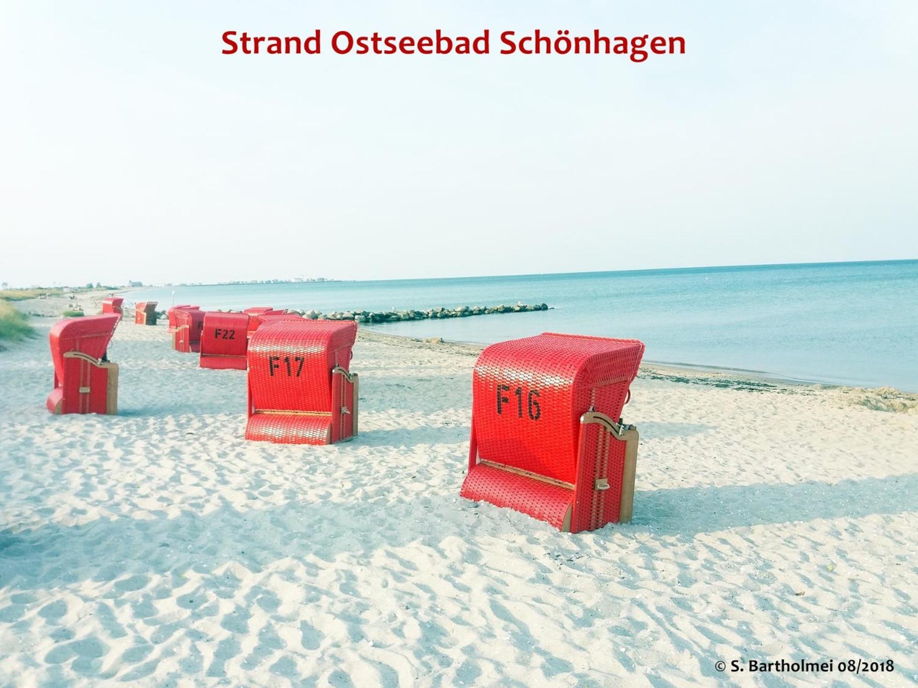 Wellenreiter - * Schonhagen (Schleswig-Holstein)
