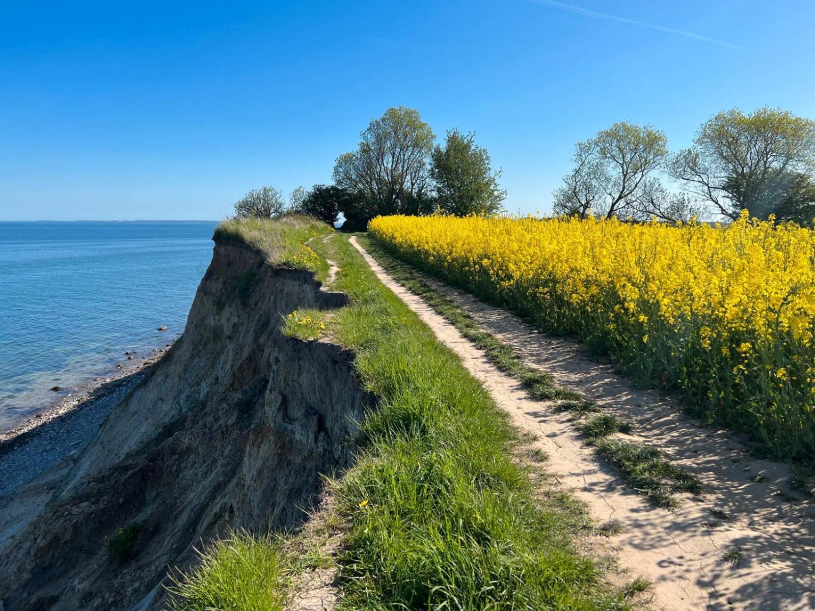 Wellenreiter -